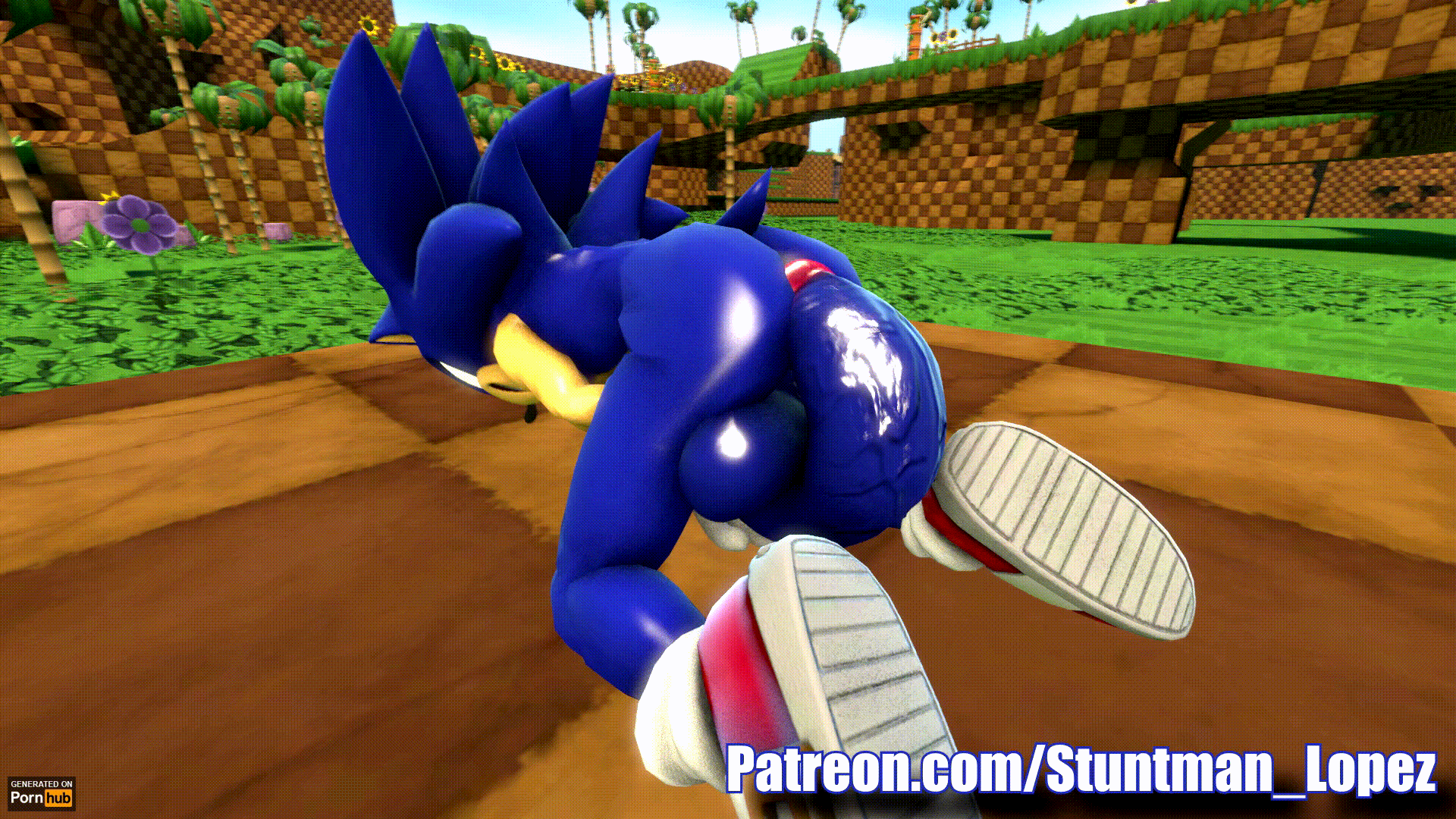 Sonic Porn Gif 2