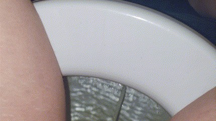 430px x 242px - Girl Pov Pissing On The Toilet Porn Gif | Pornhub.com
